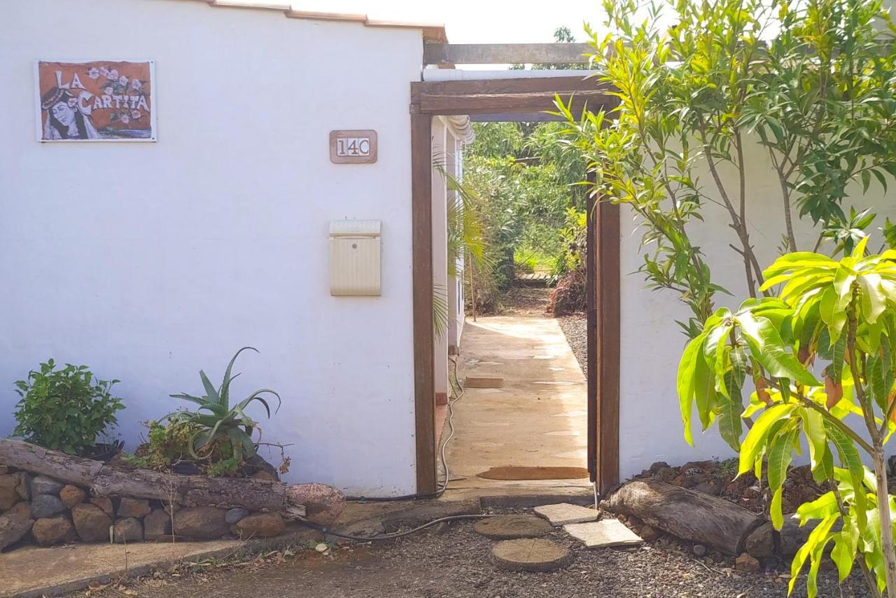 Puntagorda La Casa De La Cartitaヴィラ エクステリア 写真