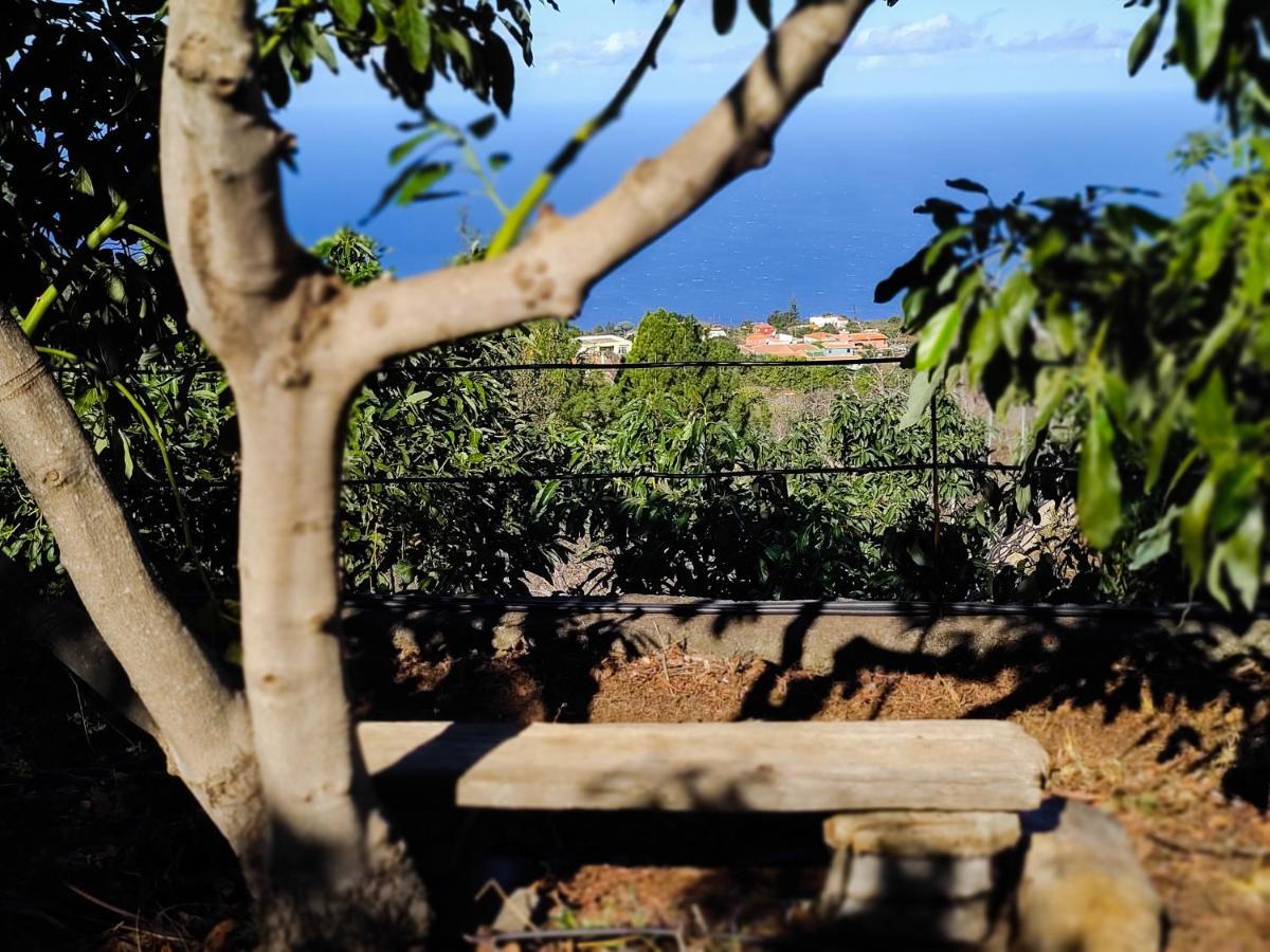 Puntagorda La Casa De La Cartitaヴィラ エクステリア 写真