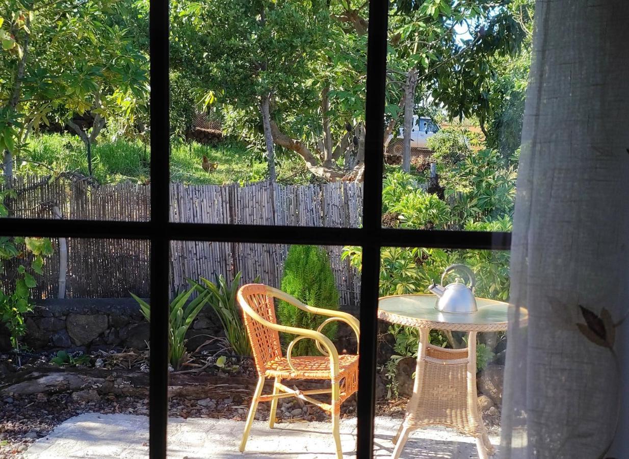 Puntagorda La Casa De La Cartitaヴィラ エクステリア 写真