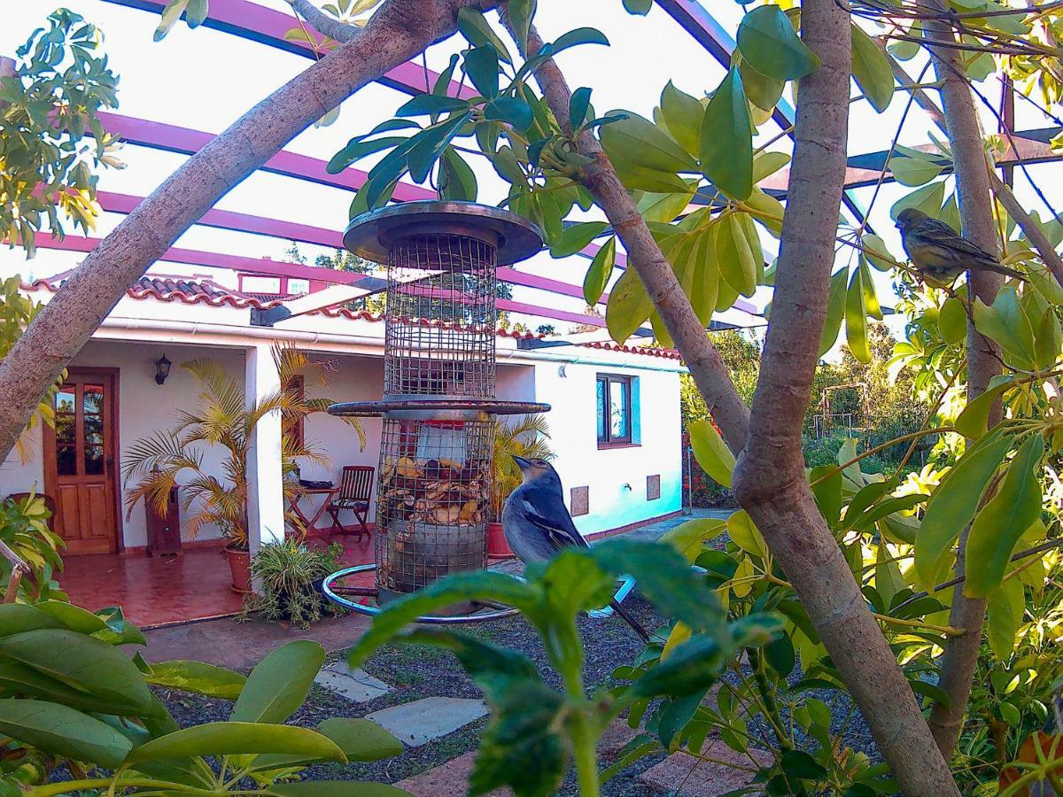 Puntagorda La Casa De La Cartitaヴィラ エクステリア 写真